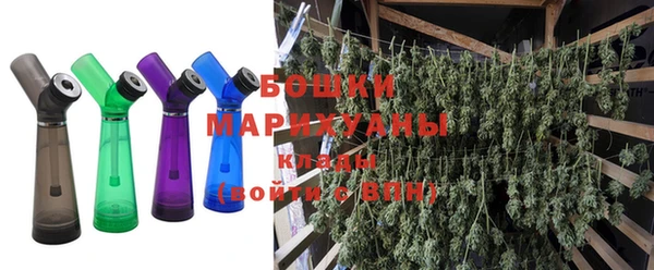 прущие грибы Нягань