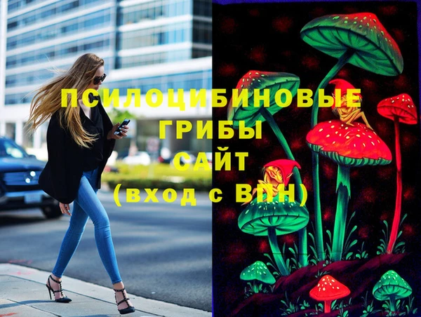 дживик Арсеньев