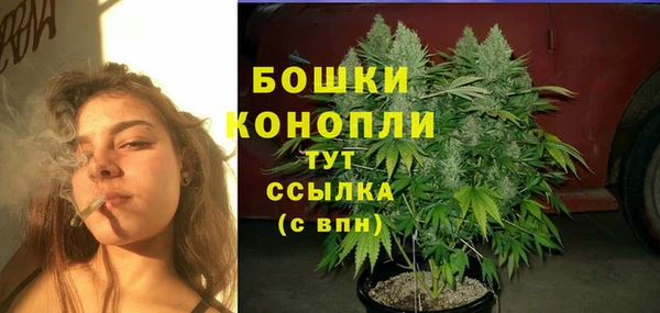 прущие грибы Нягань
