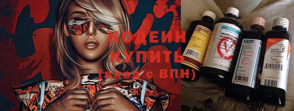 прущие грибы Нягань